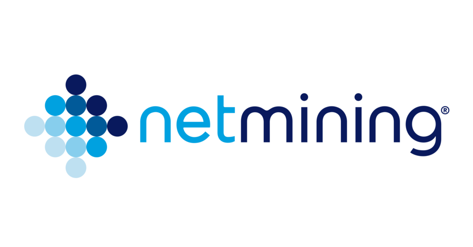 Netmining Company Logo